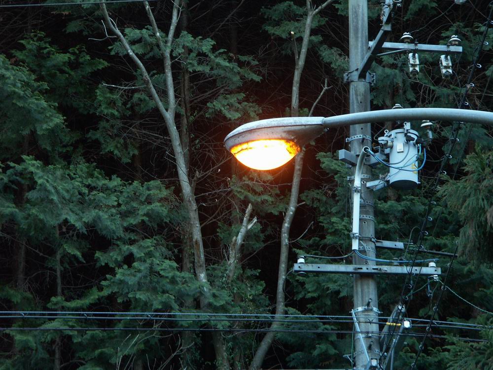 �Z�c�u���\�E