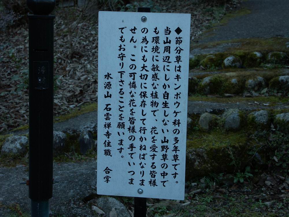 �Z�c�u���\�E