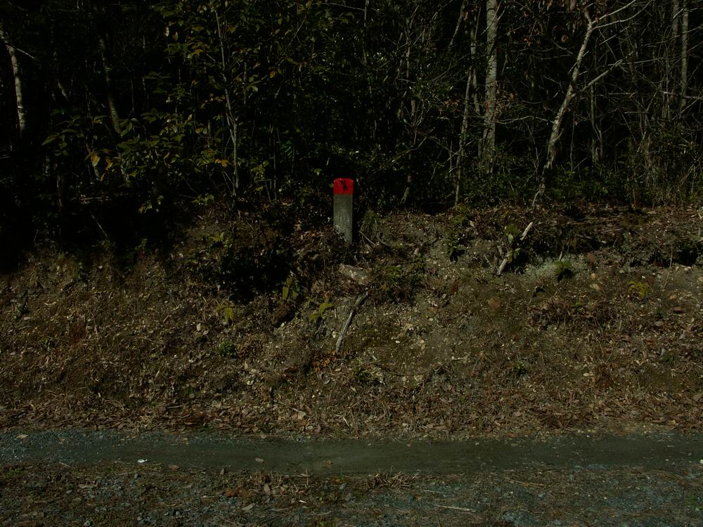 �Z�c�u���\�E