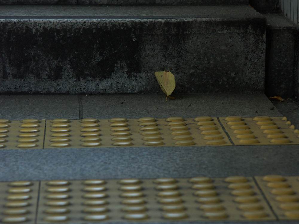 �x��L�S_����