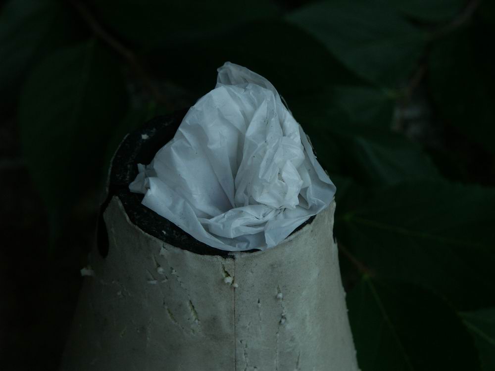 �x��L�S_����