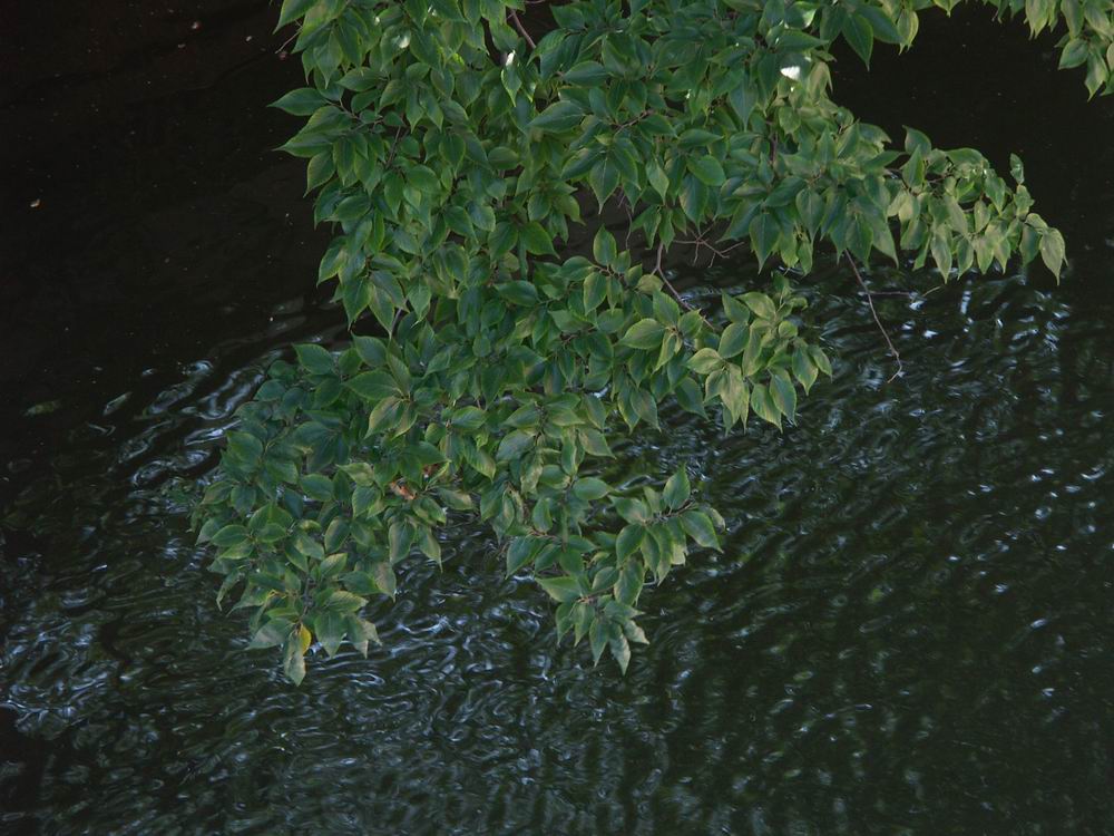 �x��L�S_����