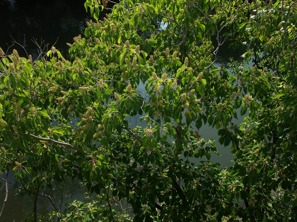 �x��L�S_����