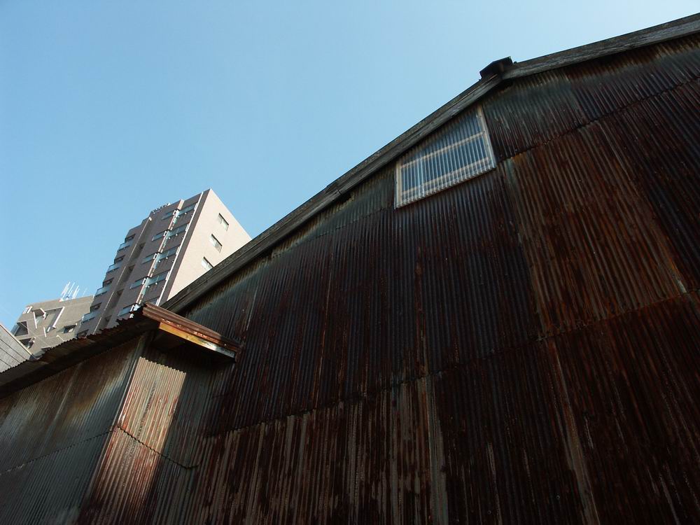 �x��L�S_����