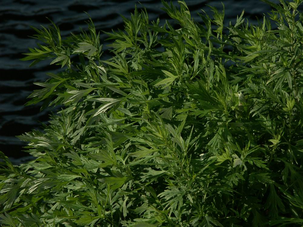 �x��L�S_����