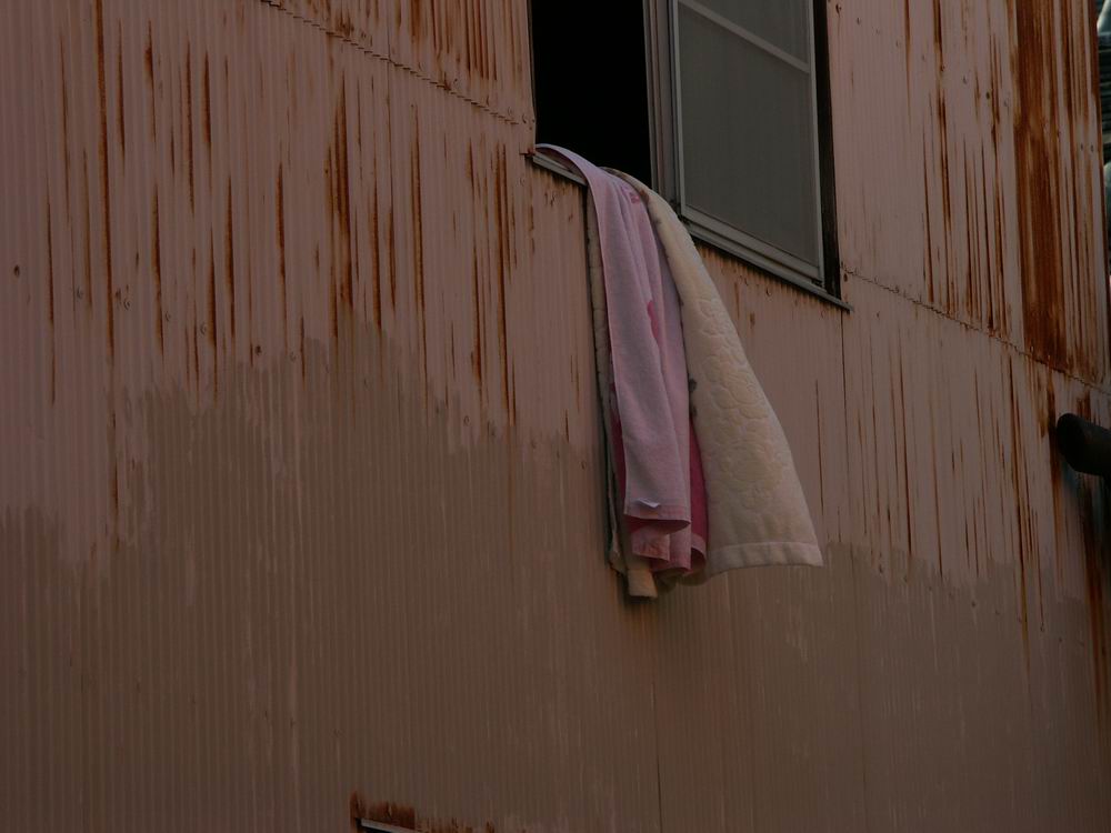 �x��L�S_����