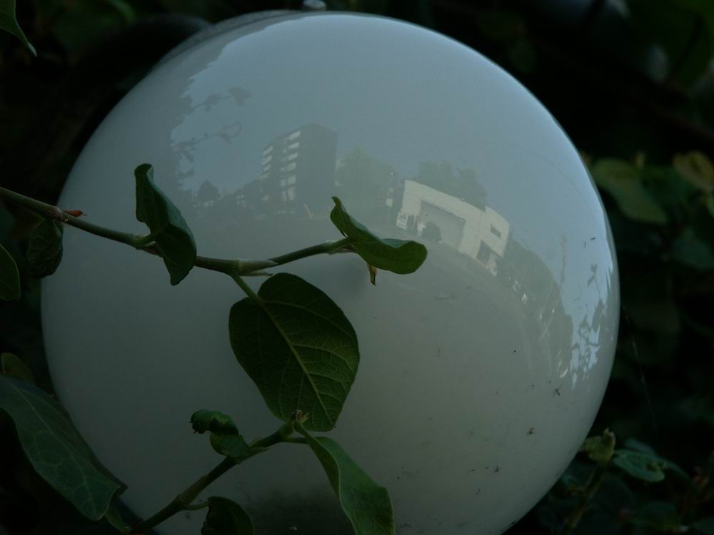 �x��L�S_����