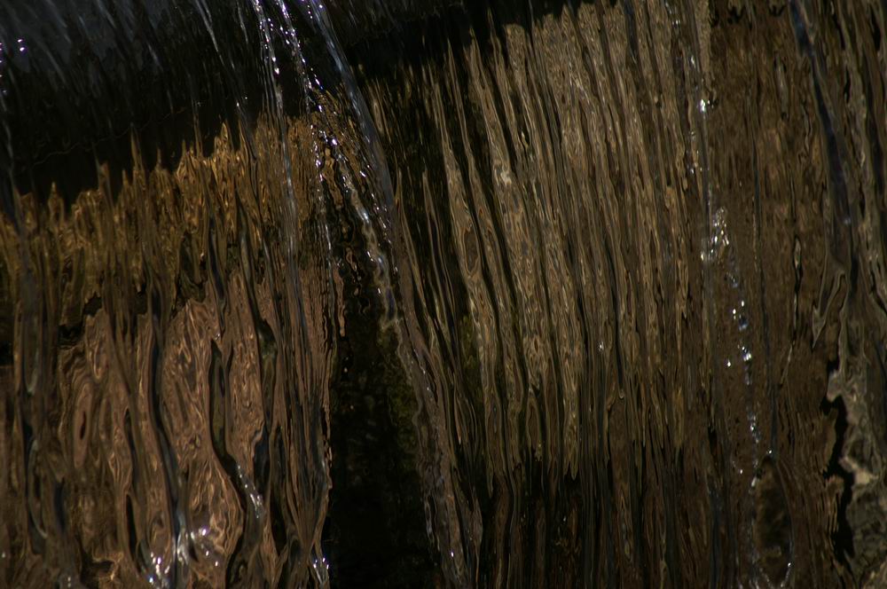 �x��L�S_��