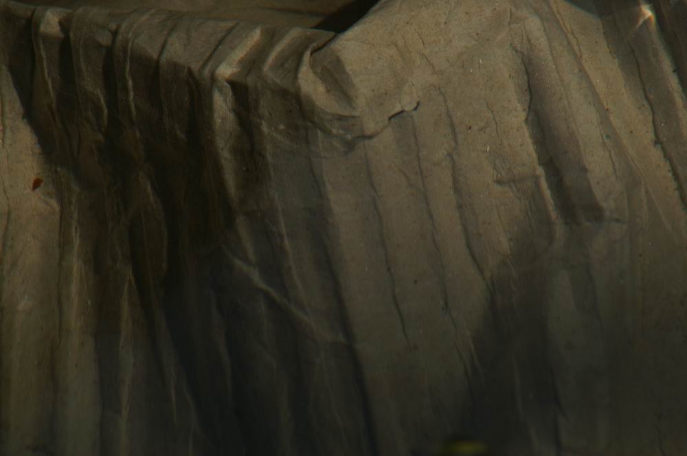 �x��L�S_��