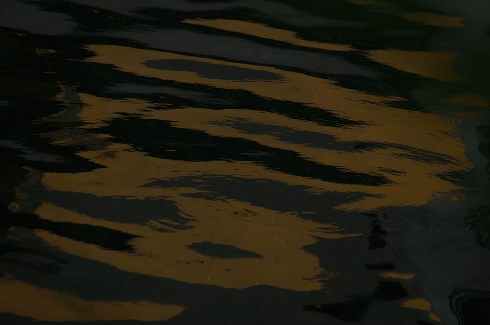 �x��L�S_��