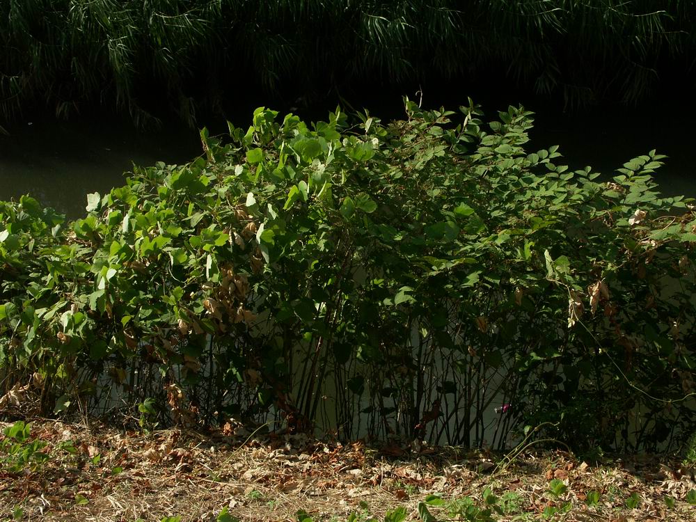 �x��L�S_����