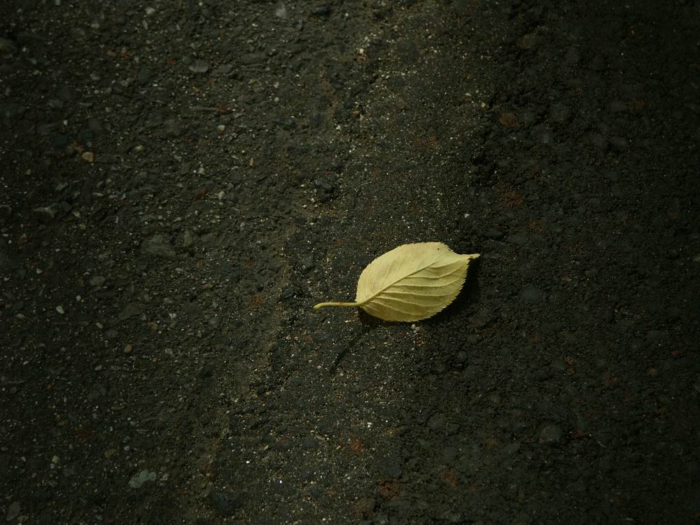 �x��L�S_����