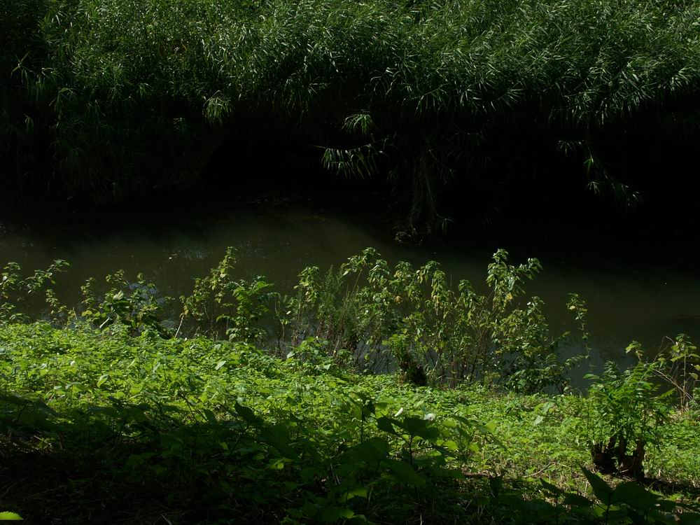 �x��L�S_����