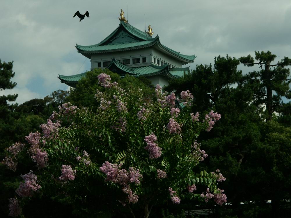 �x��L�S_����