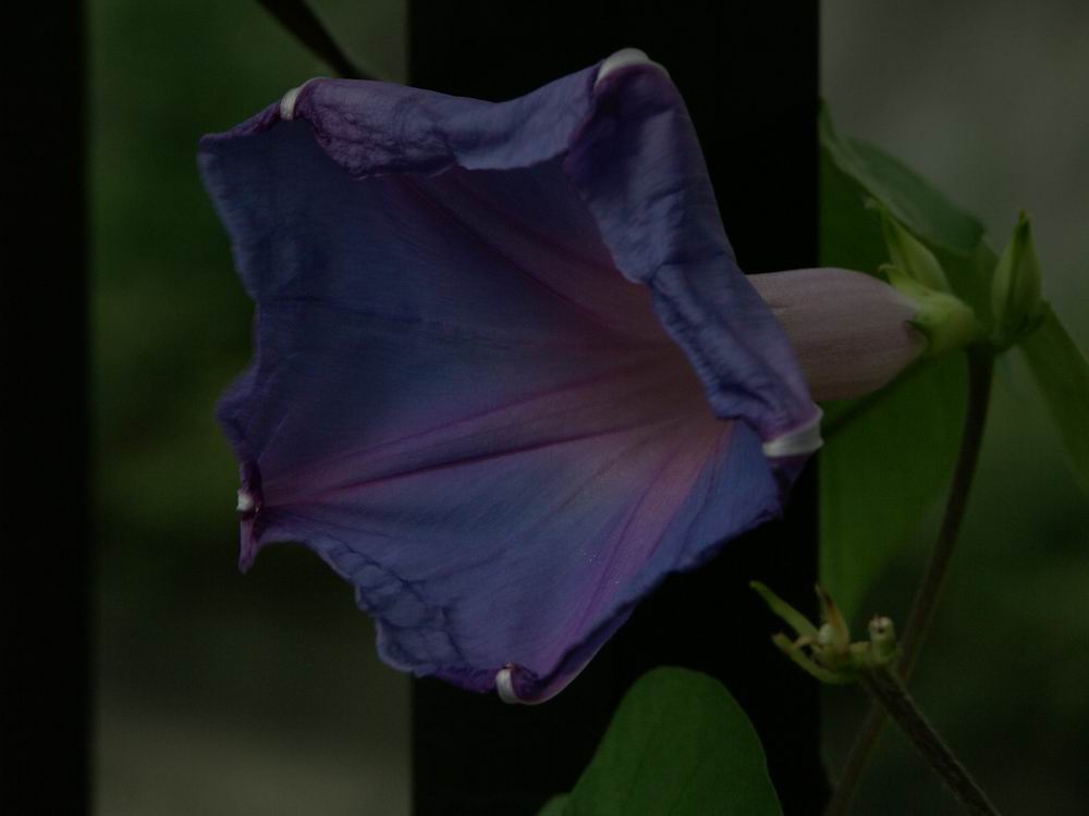 �x��L�S_����