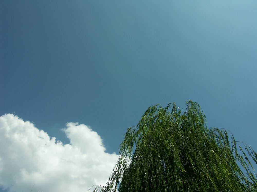 �x��L�S_����