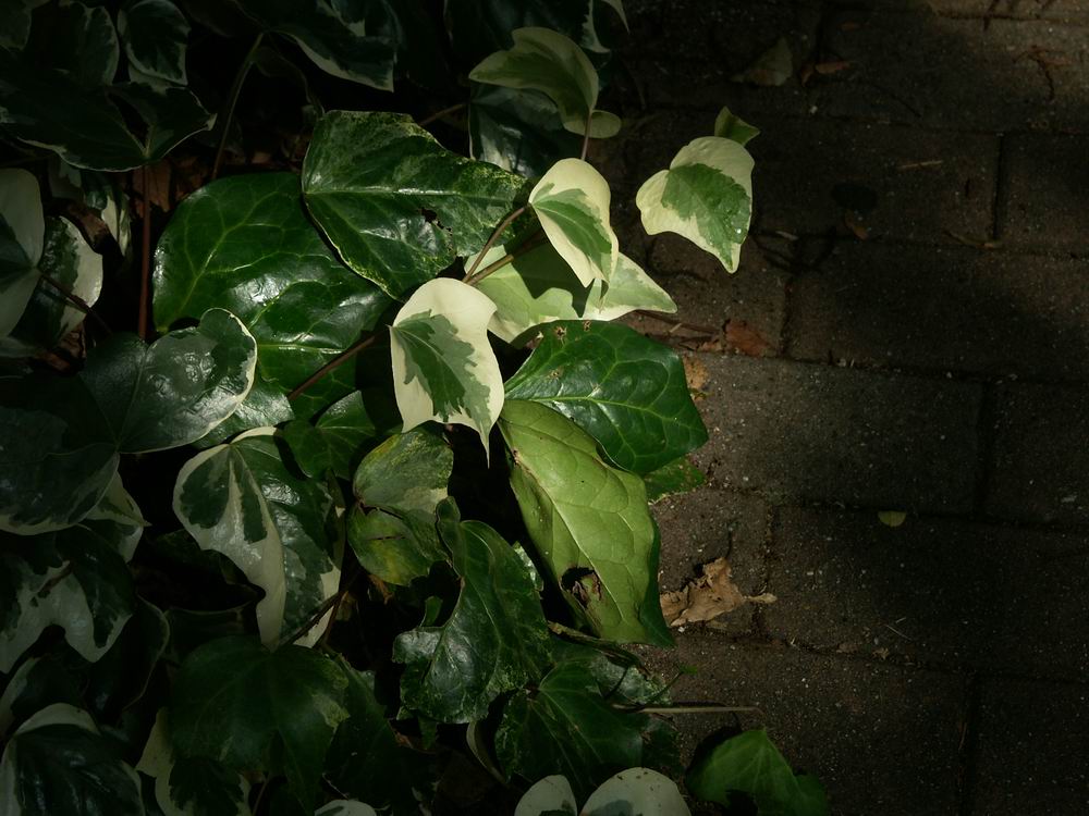 �x��L�S_����