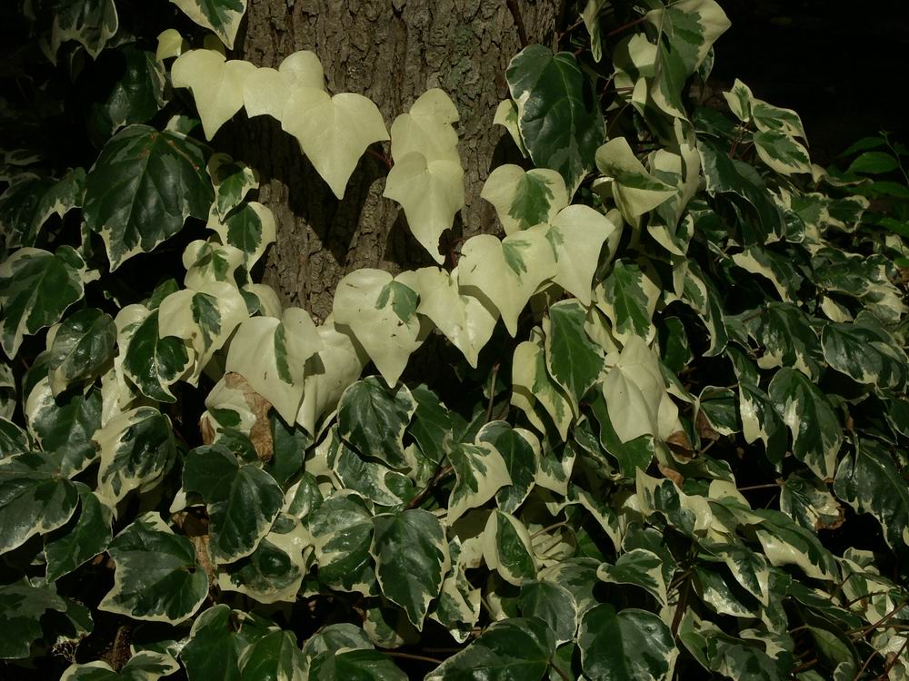 �x��L�S_����