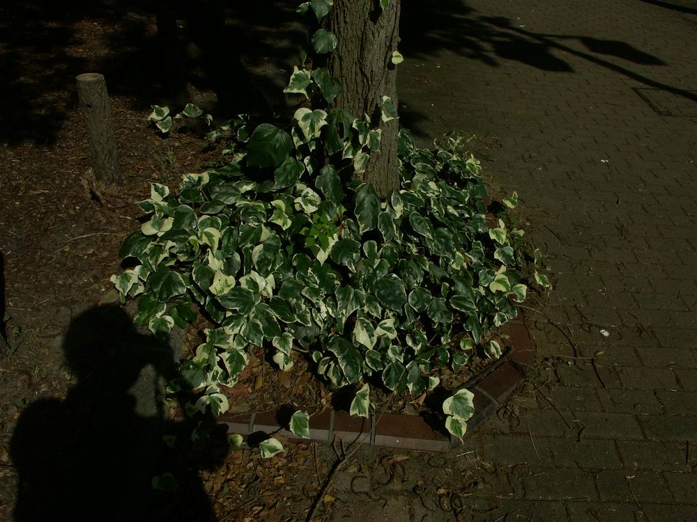 �x��L�S_����