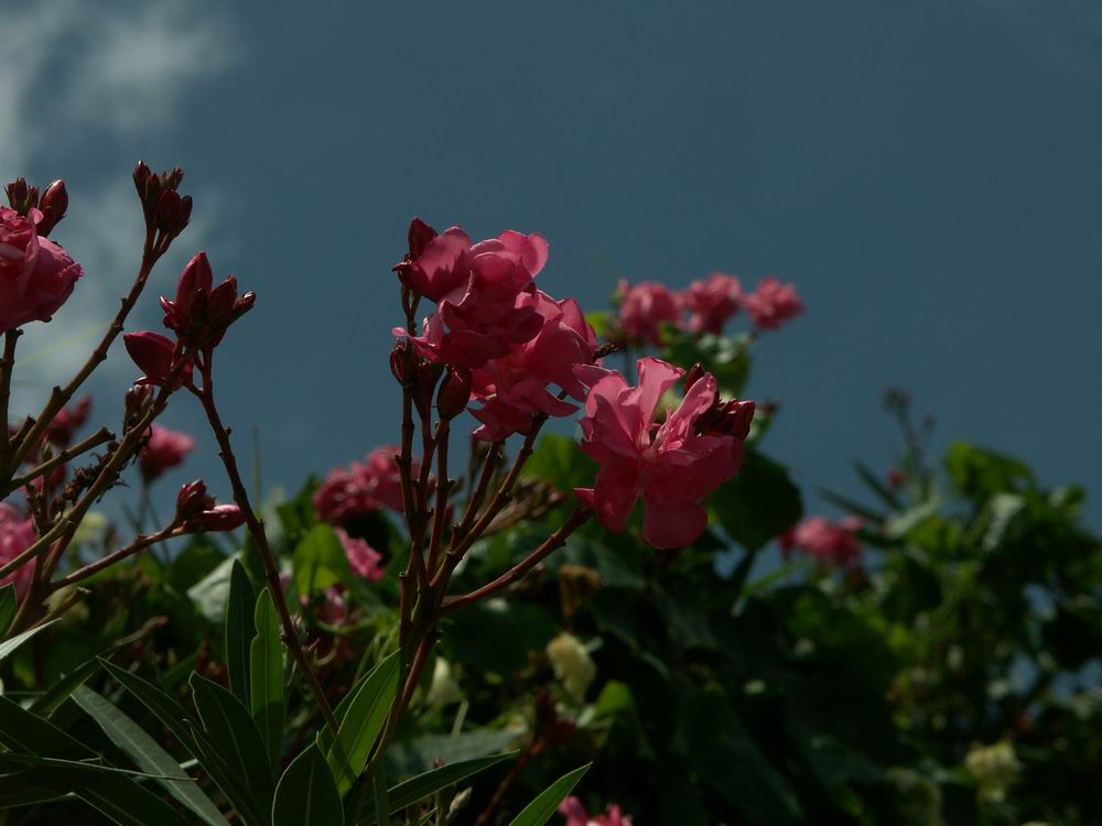 �x��L�S_����