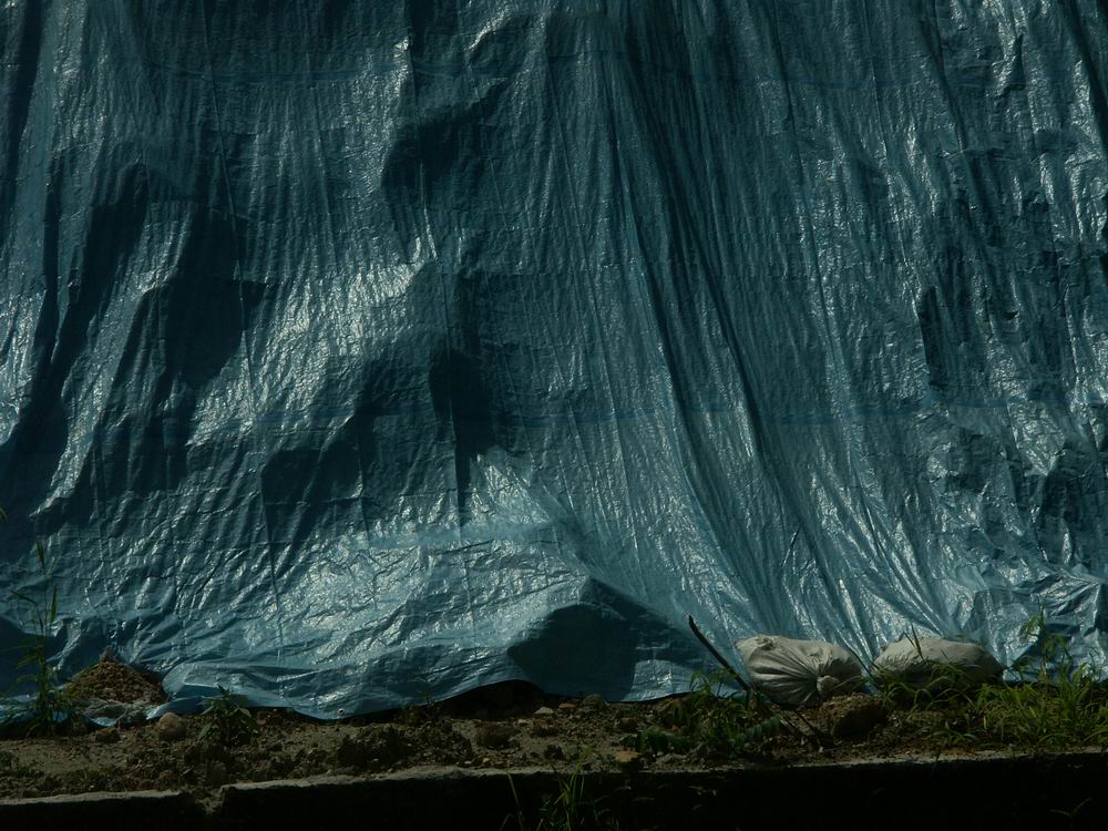 �x��L�S_����