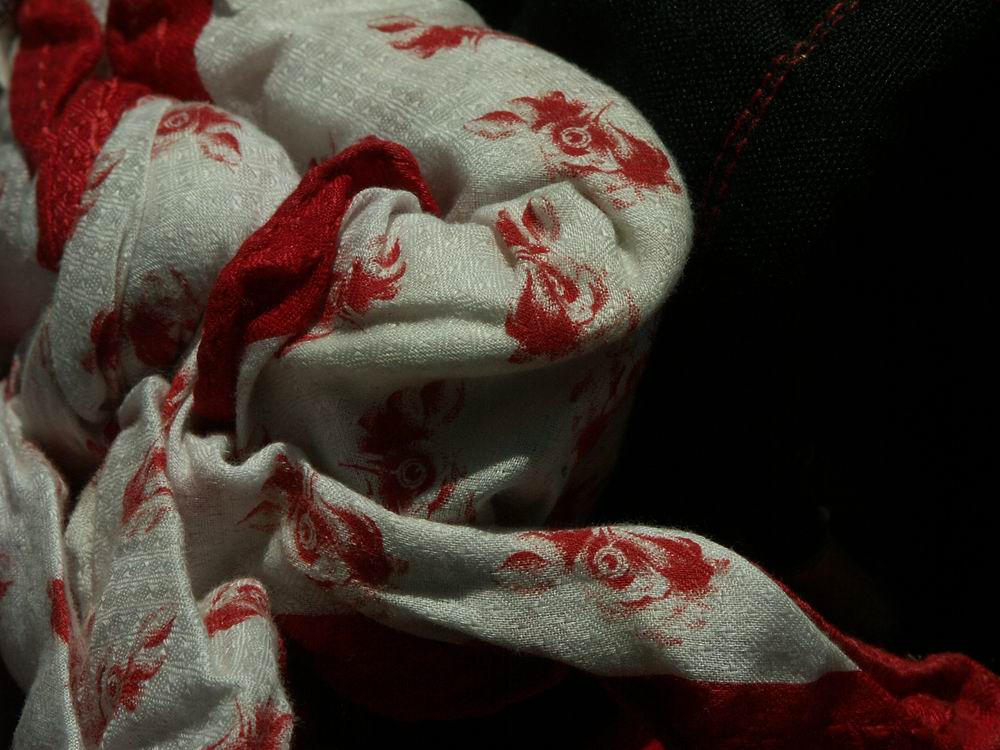 �x��L�S_����