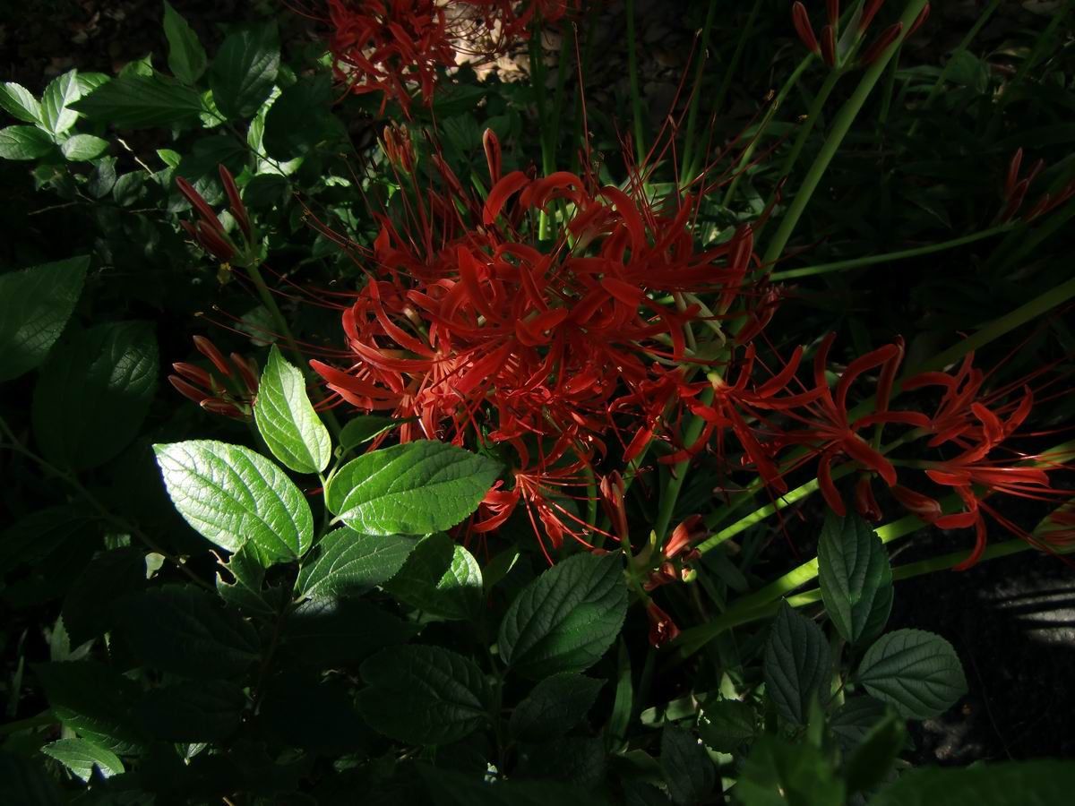 �x��L�S_�M��