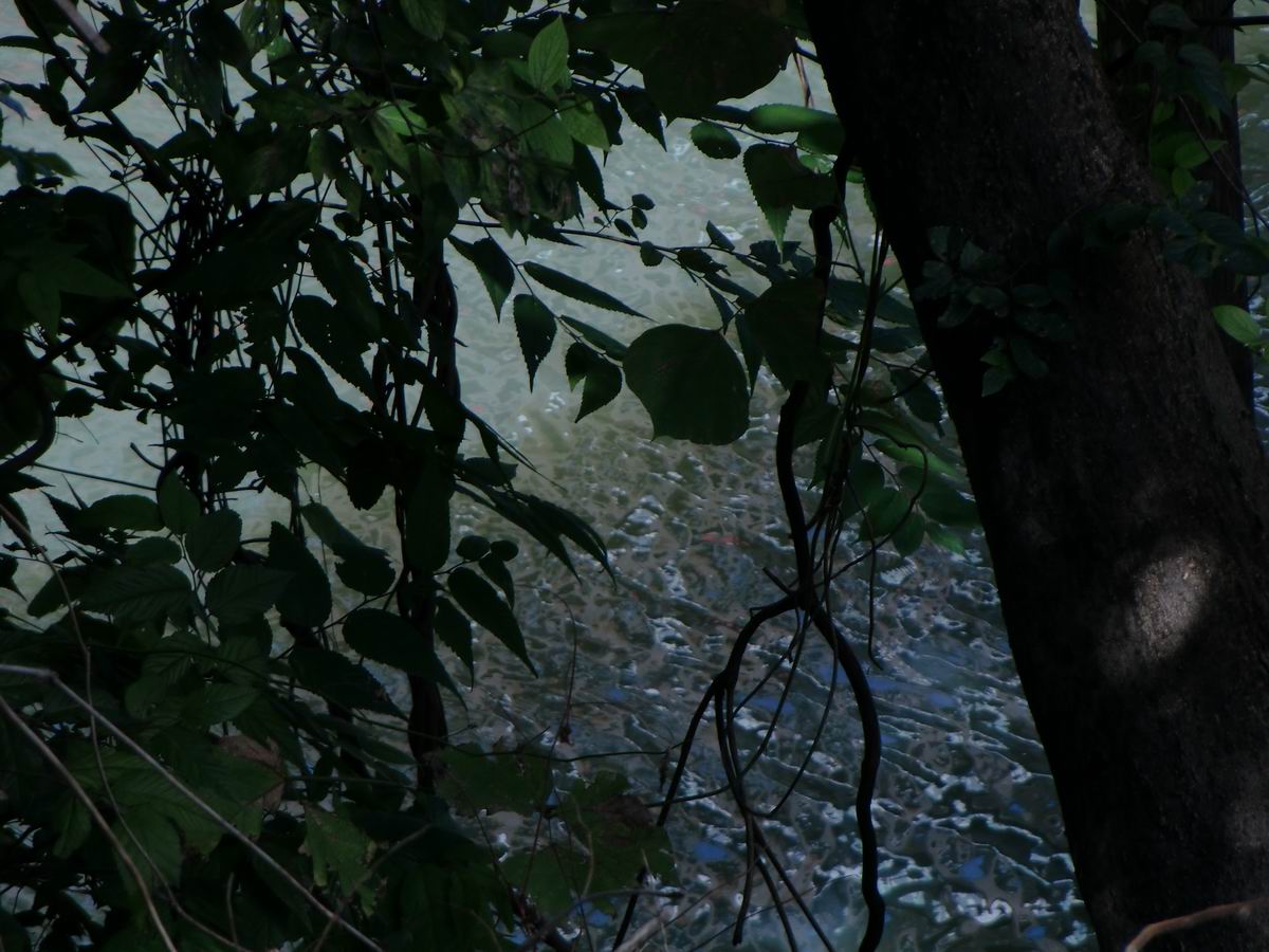 �x��L�S_�M��