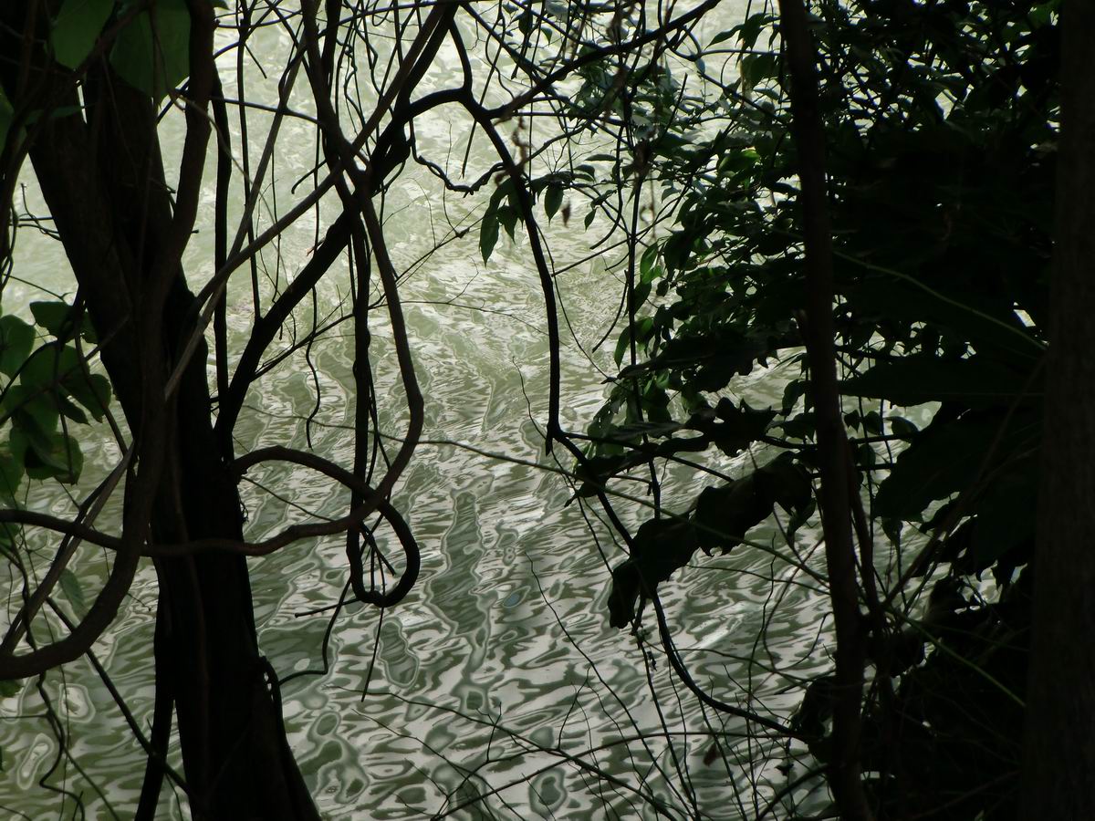 �x��L�S_�M��