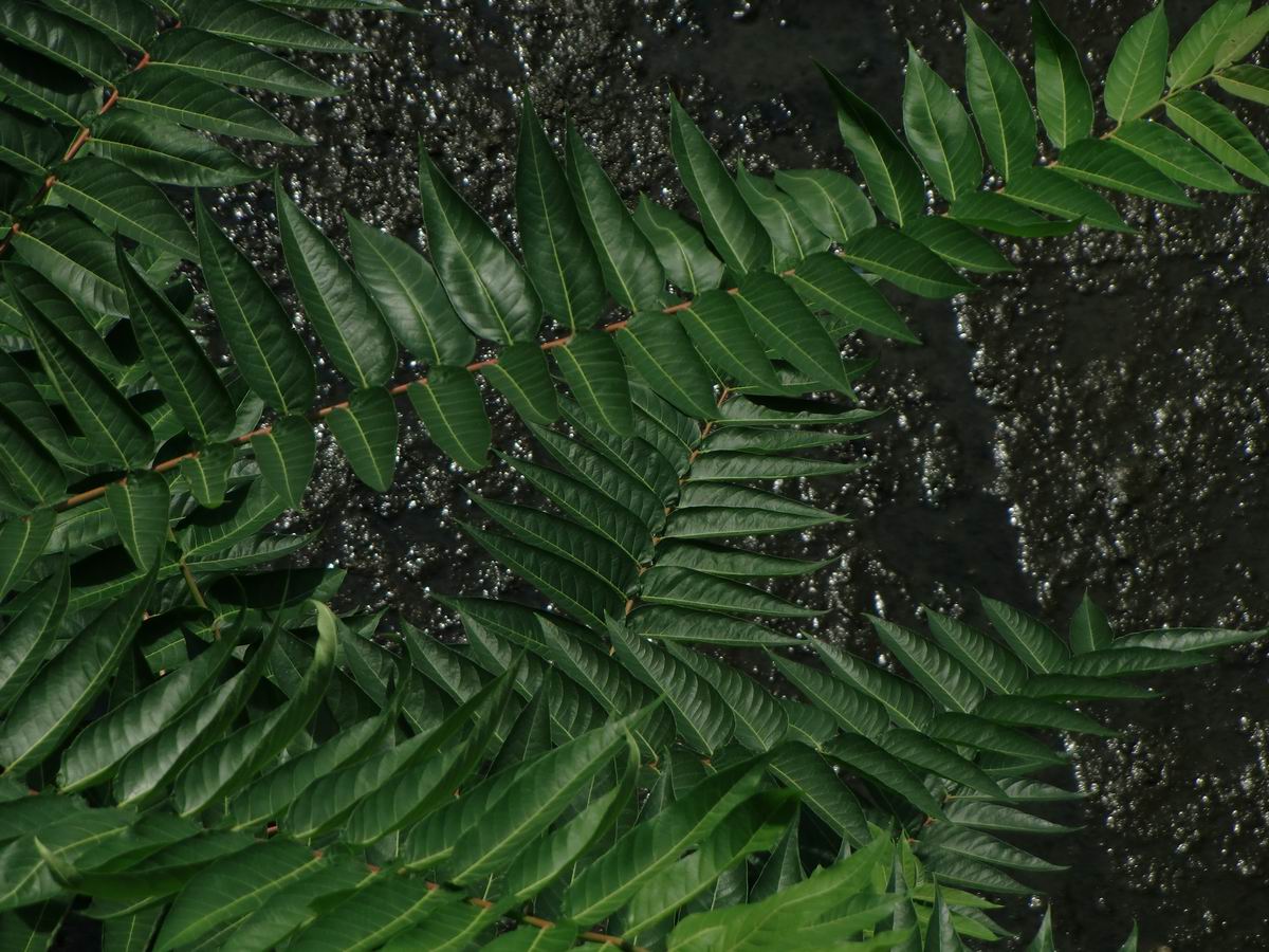 �x��L�S_�M��