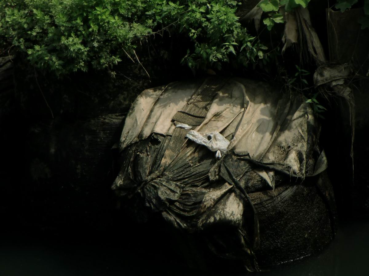 �x��L�S_�M��