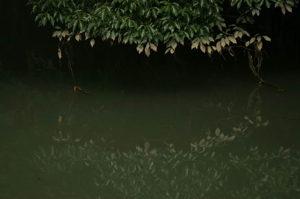 �x��L�S_����