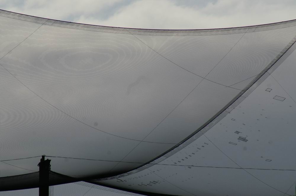 �x��L�S_����