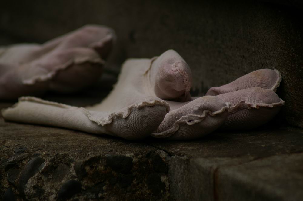 �x��L�S_����