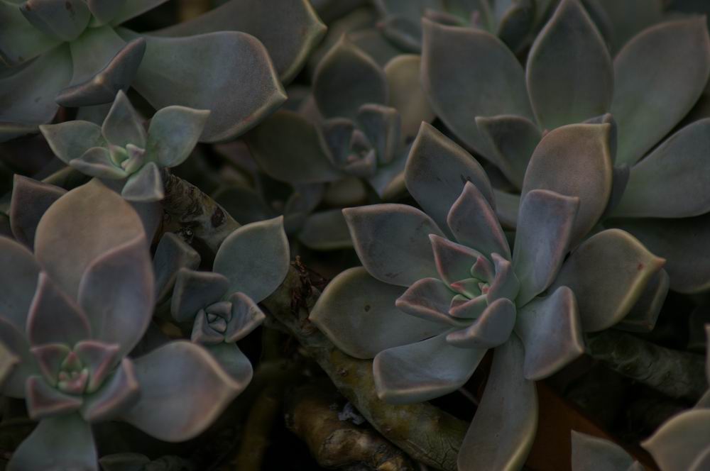 �x��L�S_����