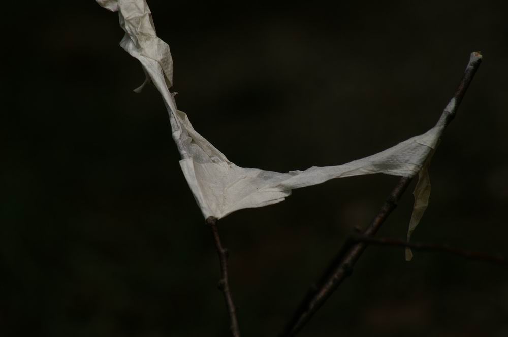 �x��L�S_����