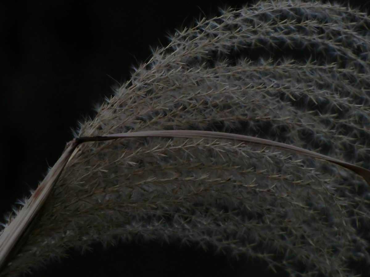 �x��L�S_�L�X