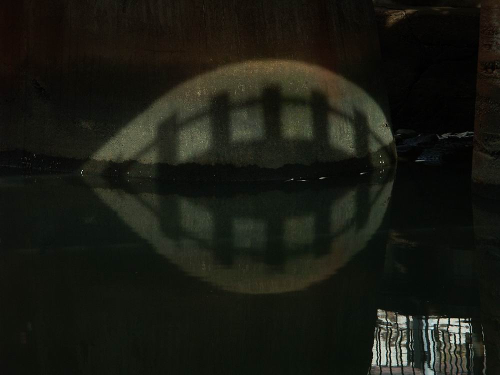 �x��L�S_�~