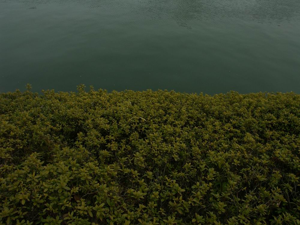 �x��L�S_�~