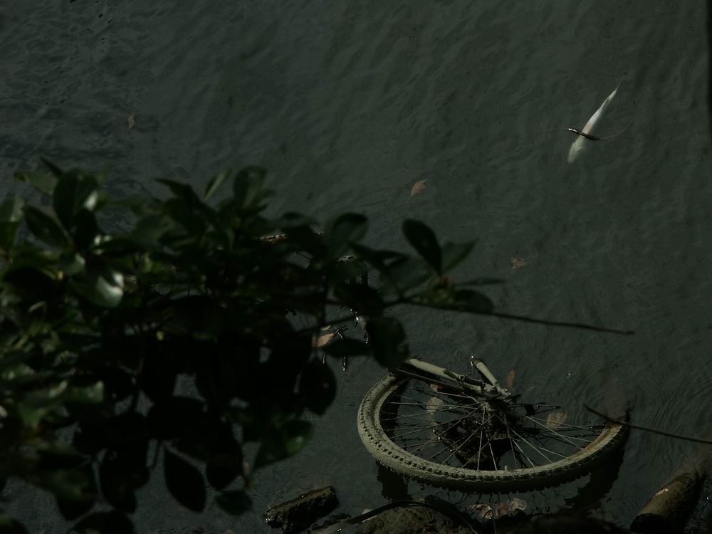 �x��L�S_�|