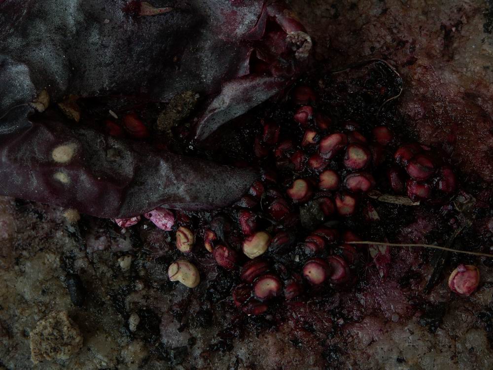 �x��L�S_�|