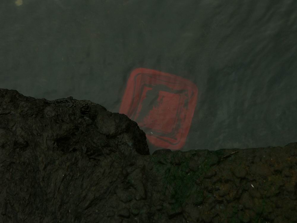 �x��L�S_�|