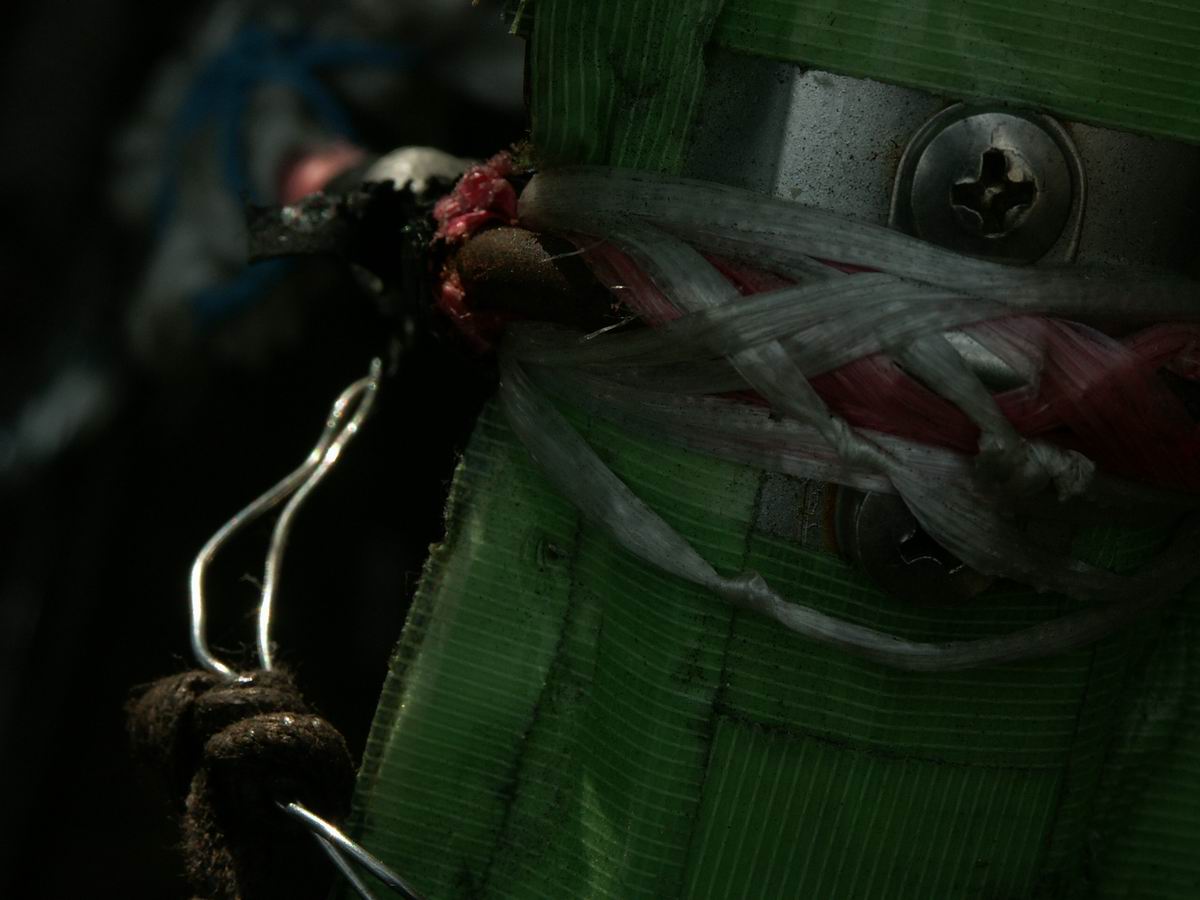 �x��L�S_��