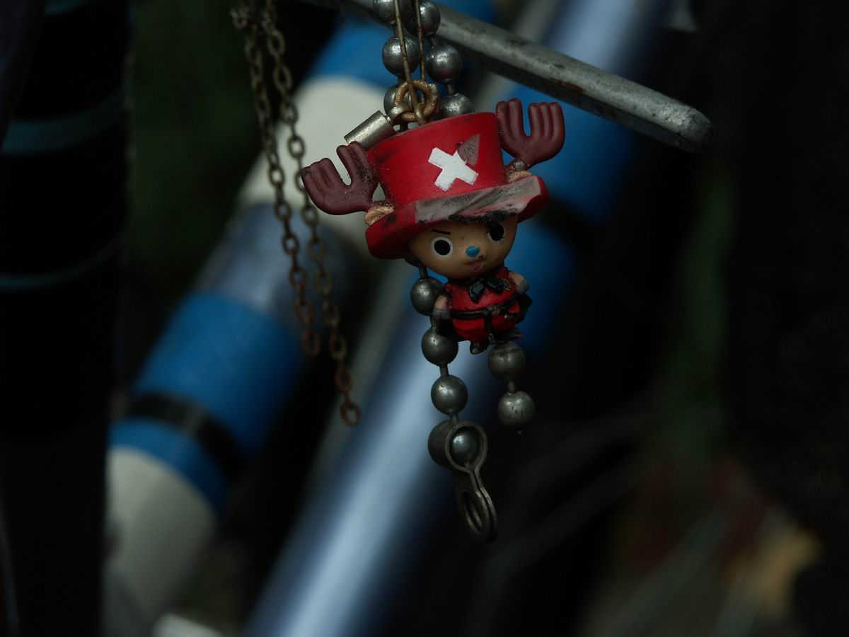 �x��L�S_��