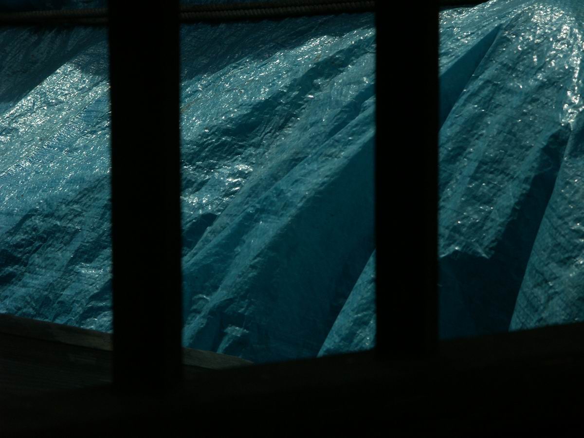 �x��L�S_��