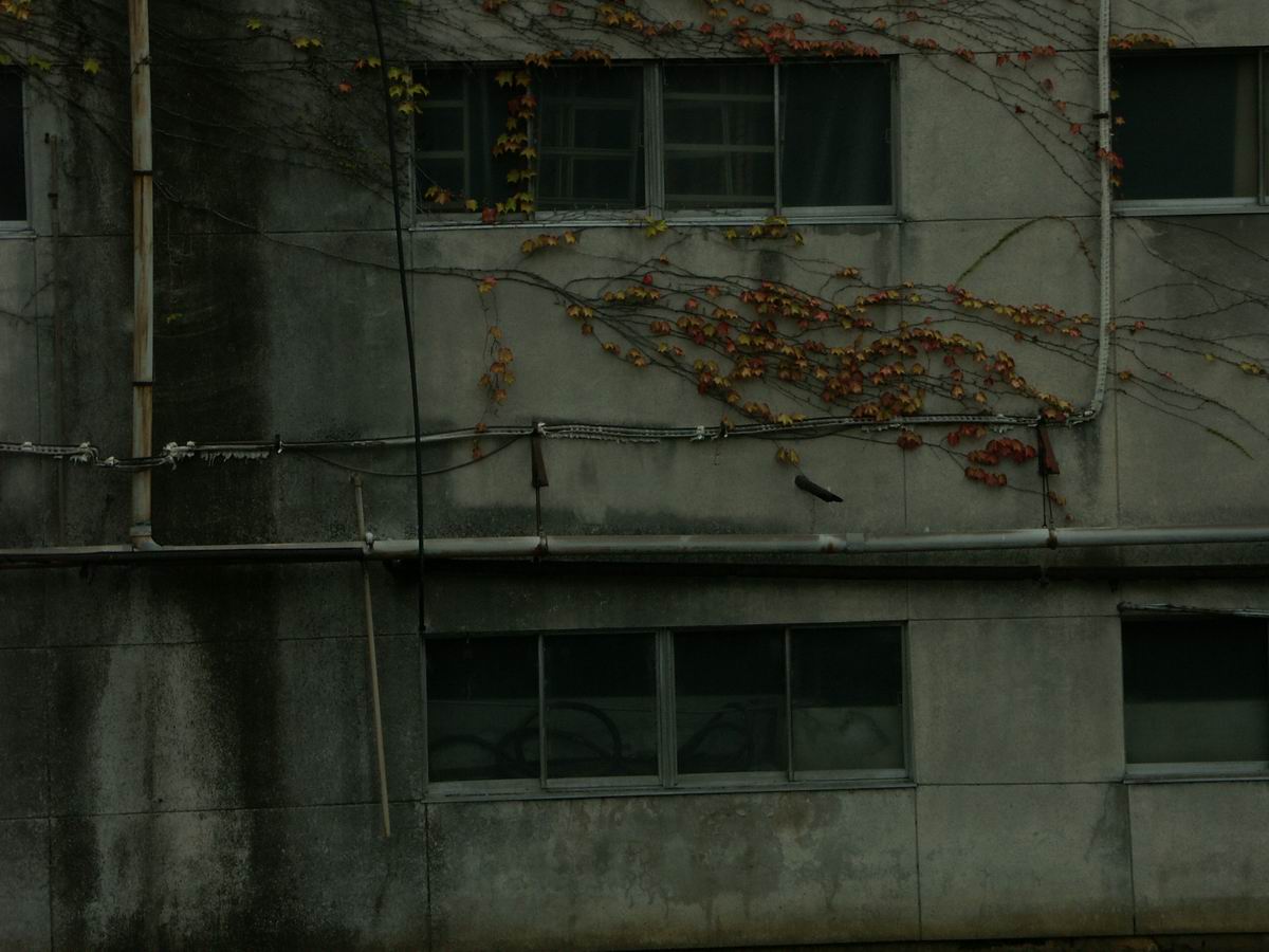 �x��L�S_��