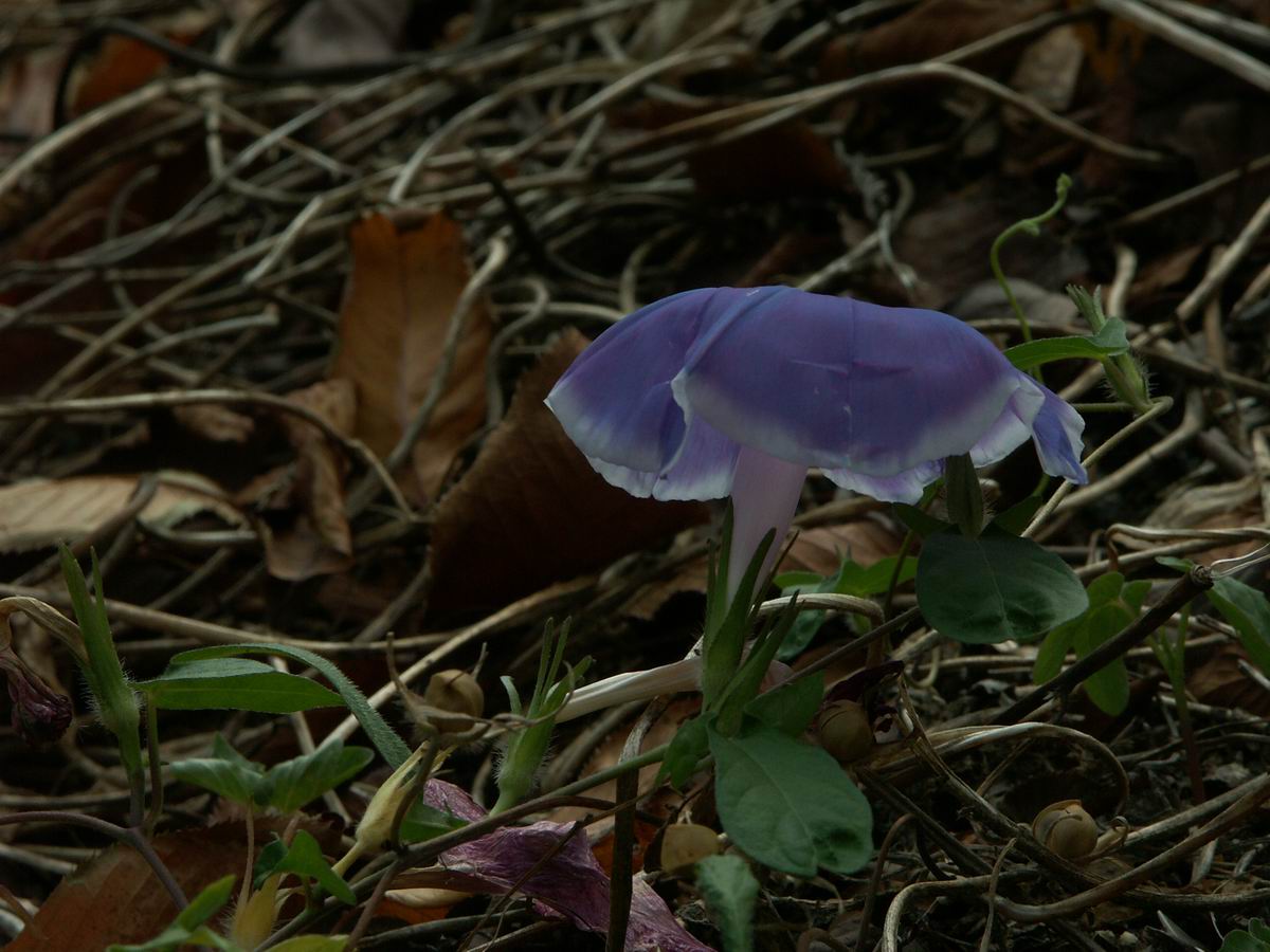 �x��L�S_��