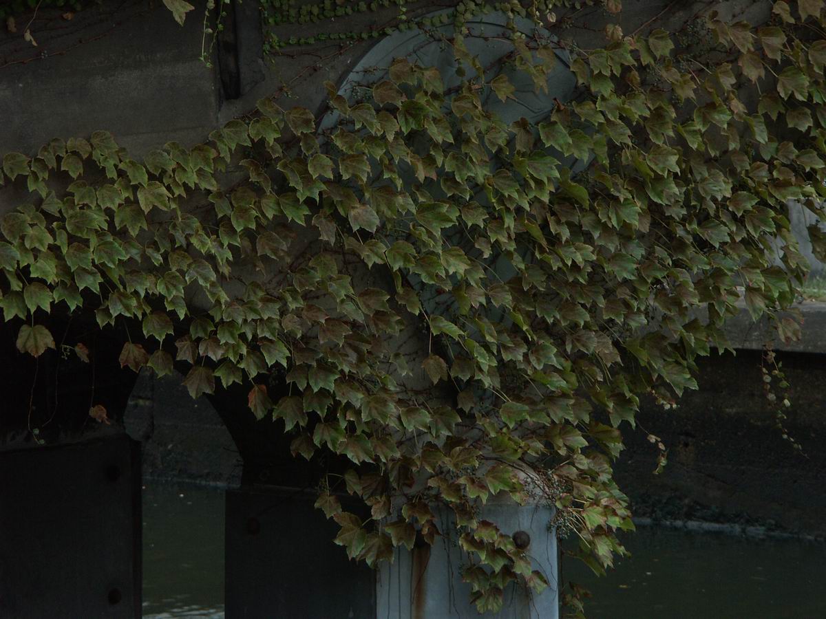 �x��L�S_��