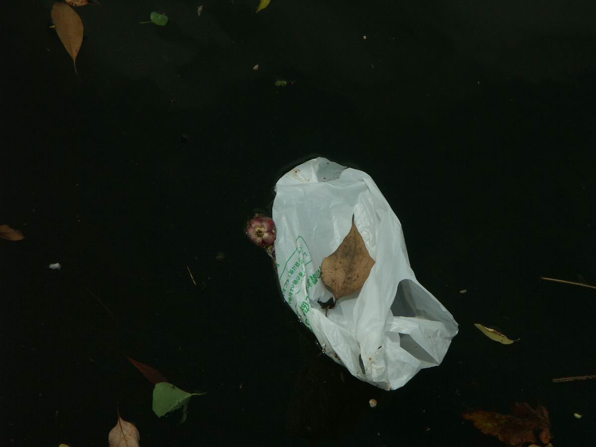 �x��L�S_��