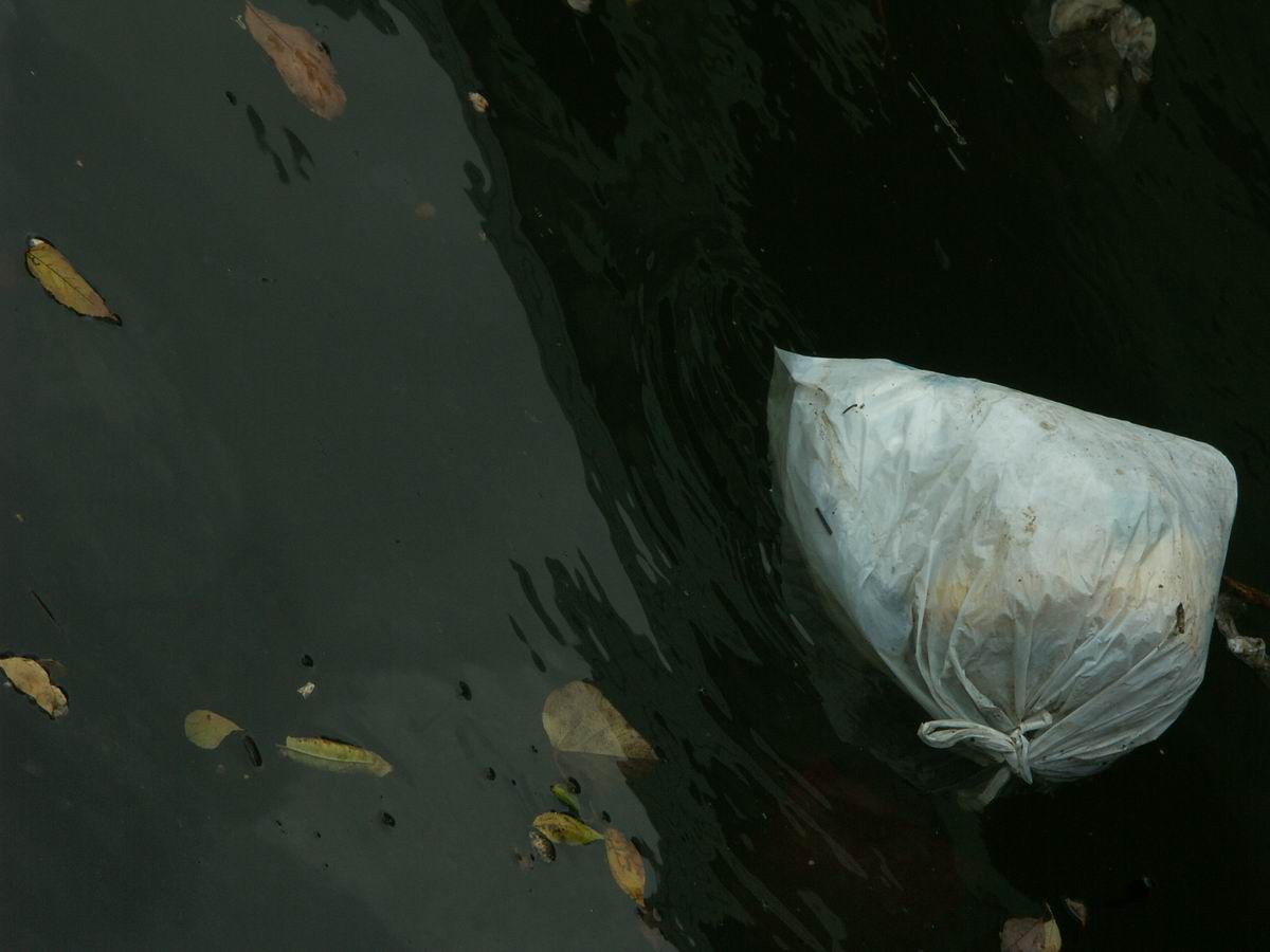 �x��L�S_��